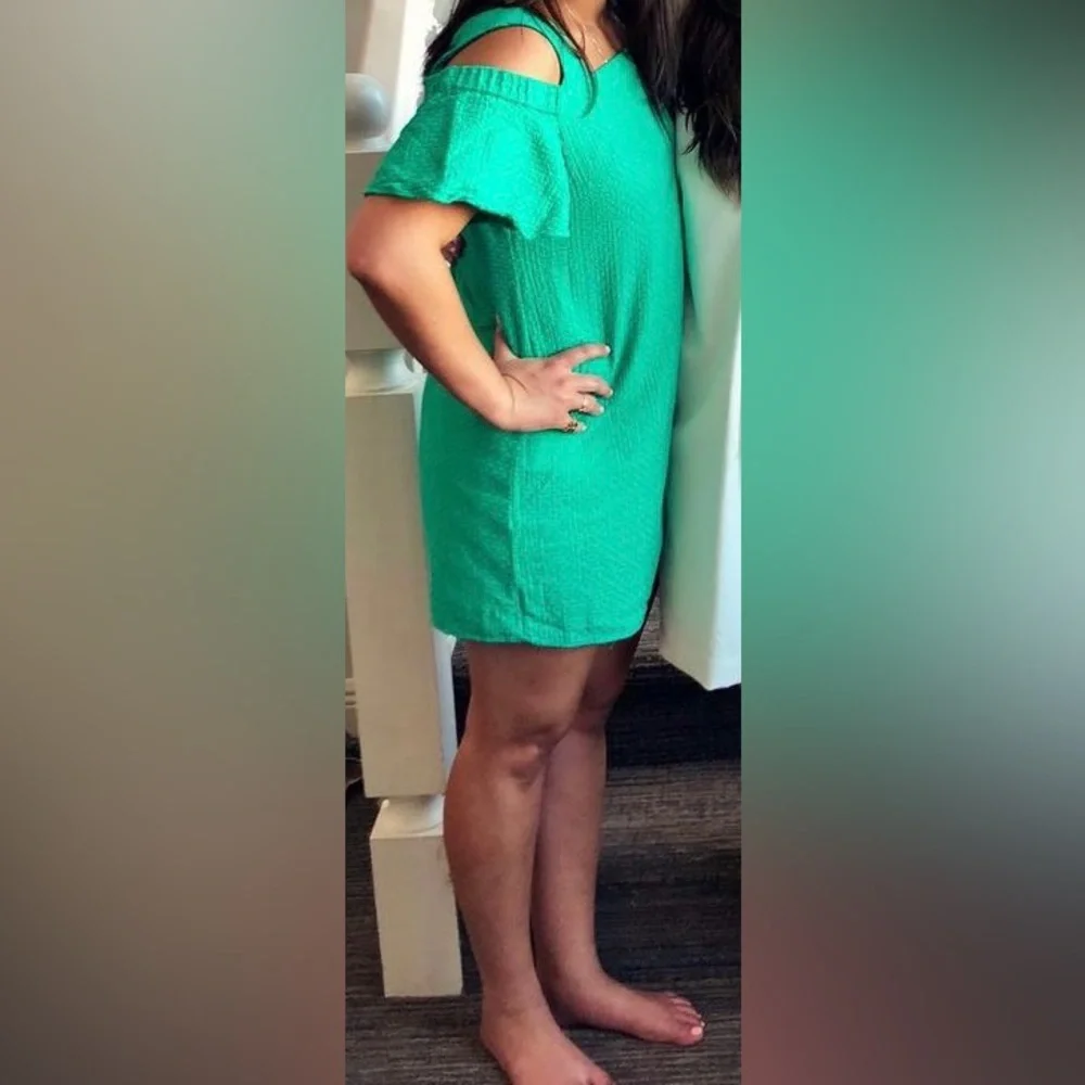 J. Crew off shoulder mini dress - Picture 4 of 4